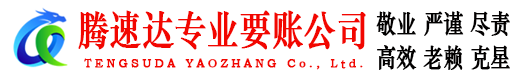 政和腾速达清债公司